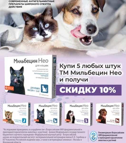 Акция