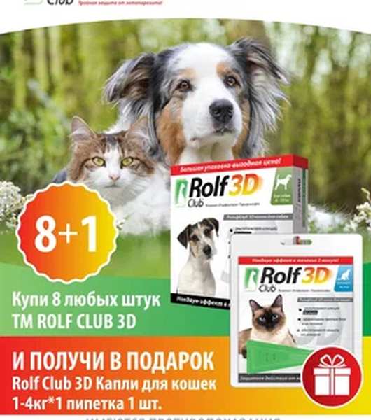 Акция