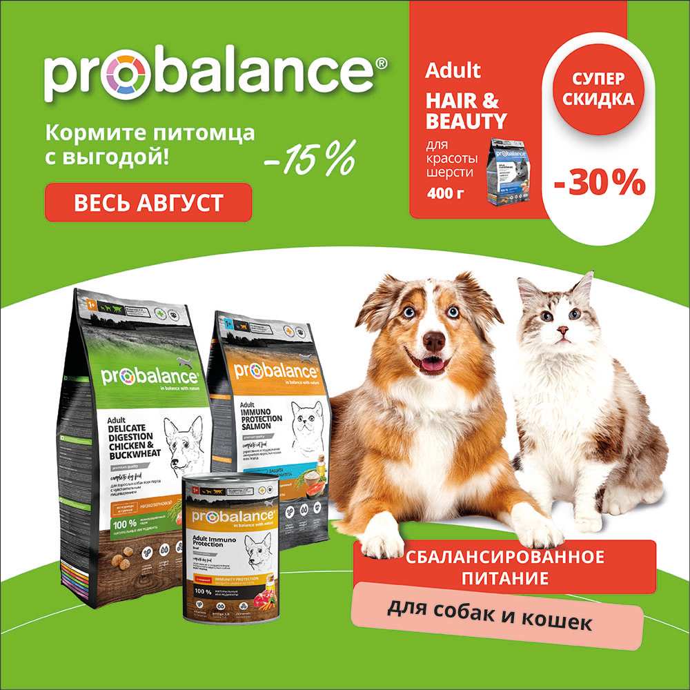 Акция