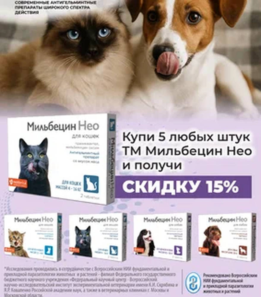 Акция