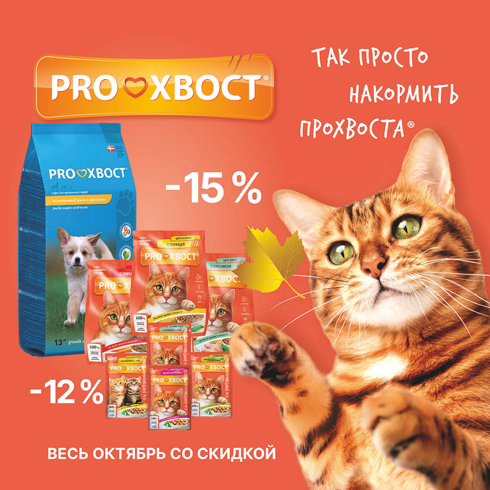 Акция