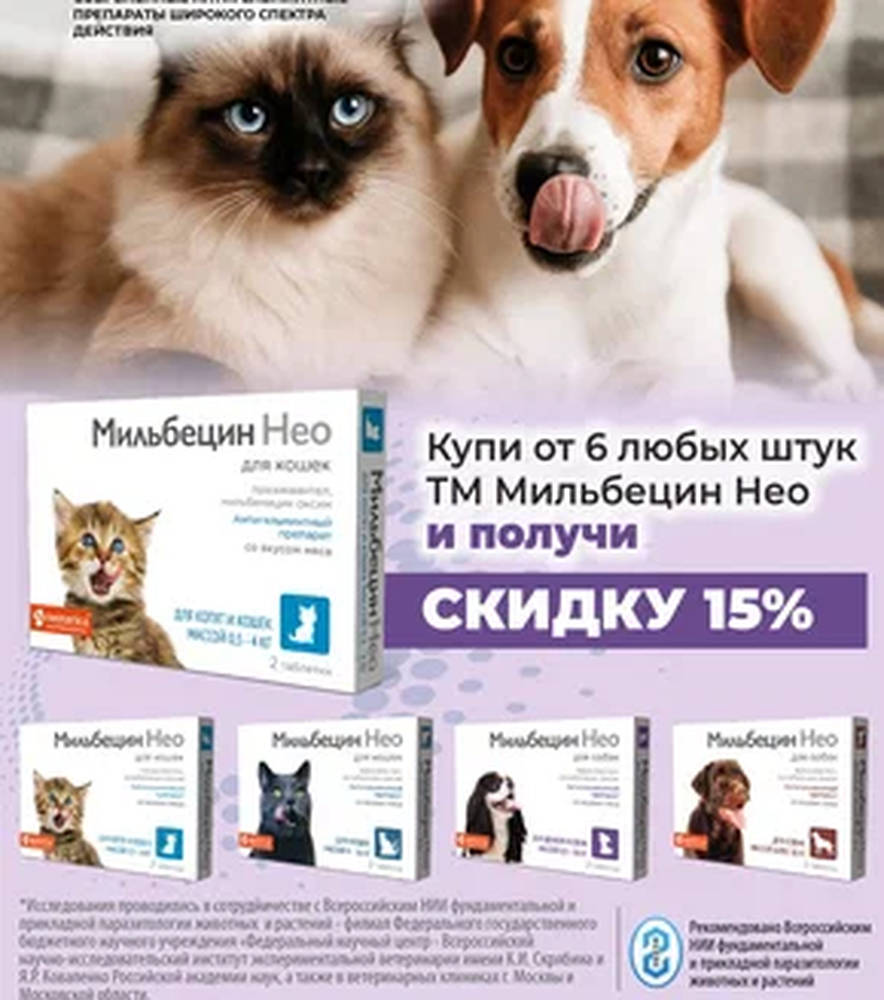 Акция