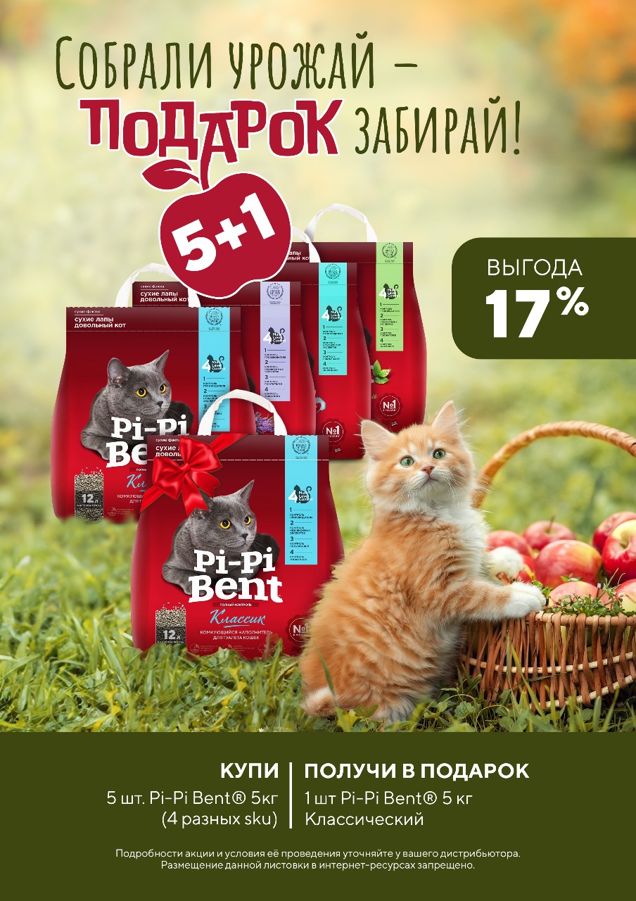 Акция