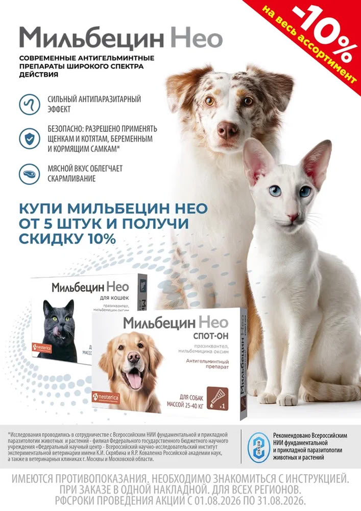 Акция