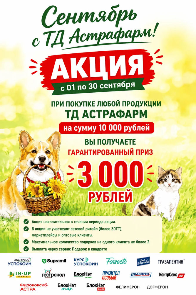 Акция