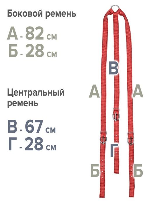 Нагрудник двойной нейлон 25 мм вид 2  REITER